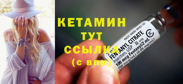 прущие грибы Елизово