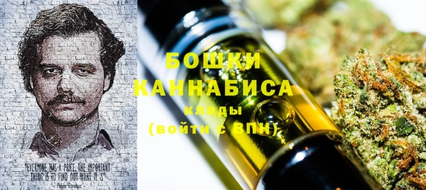 прущие грибы Елизово