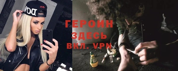 прущие грибы Елизово