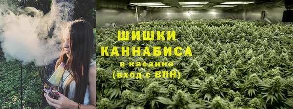 прущие грибы Елизово
