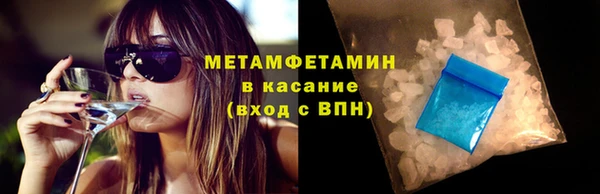 прущие грибы Елизово