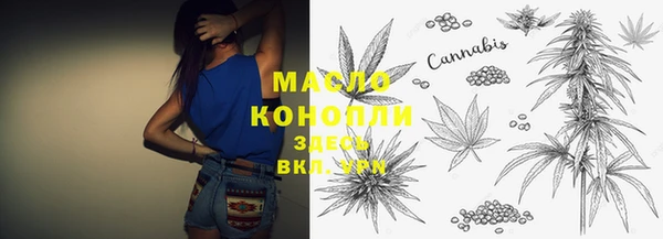 прущие грибы Елизово