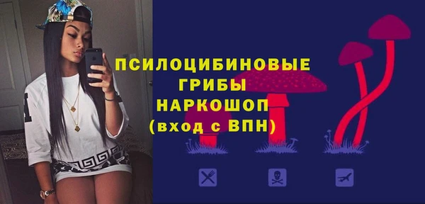 марки nbome Ельня