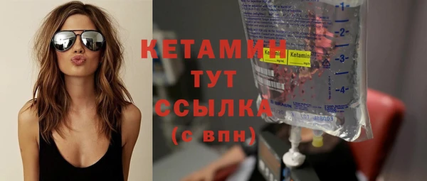 прущие грибы Елизово