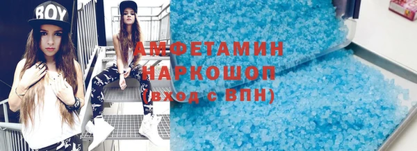 прущие грибы Елизово