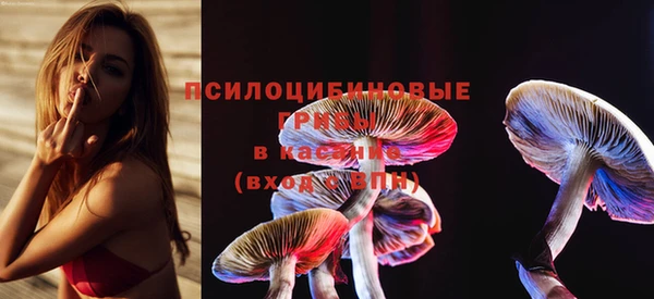 марки nbome Ельня