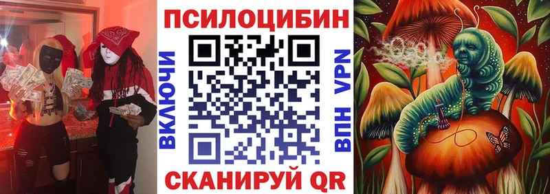 где продают наркотики  KRAKEN ССЫЛКА  Псилоцибиновые грибы ЛСД  Тетюши 